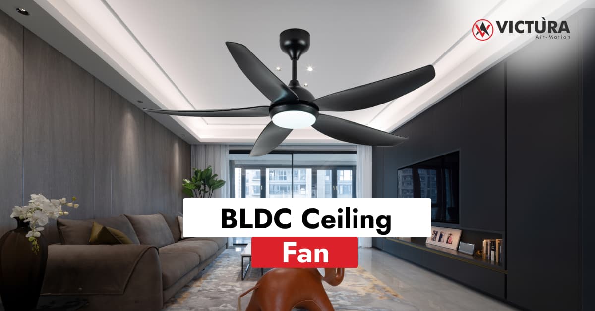 How Long Can a BLDC Ceiling Fan Last Without Maintenance
