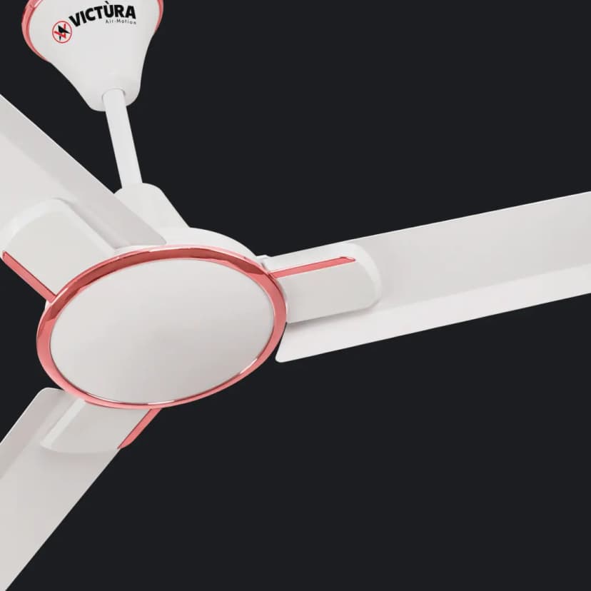ceiling-fans