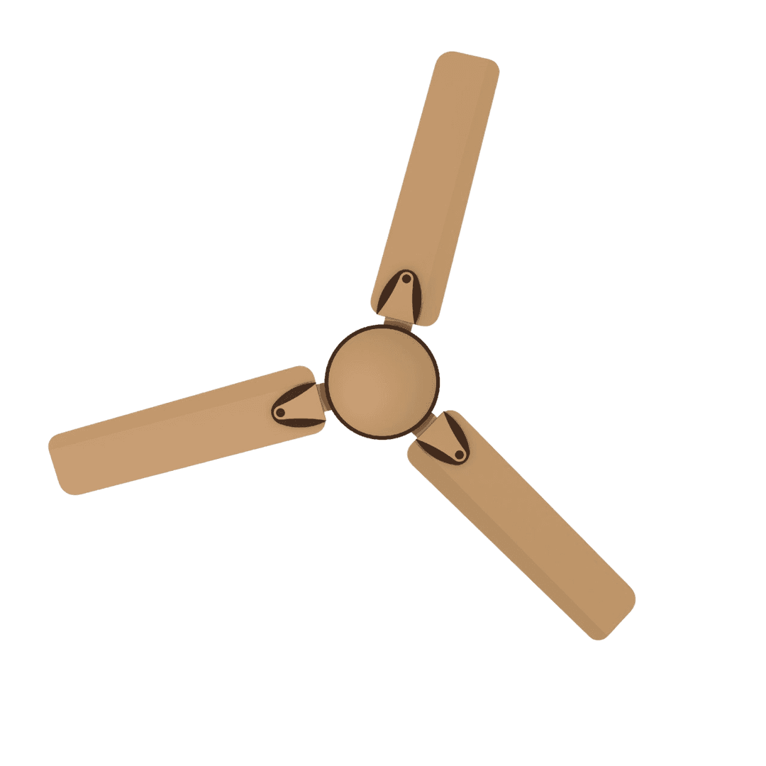 Brown Fan