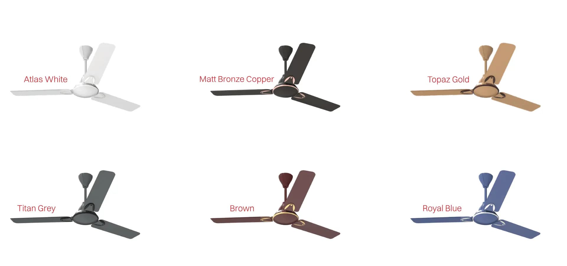 noire banner